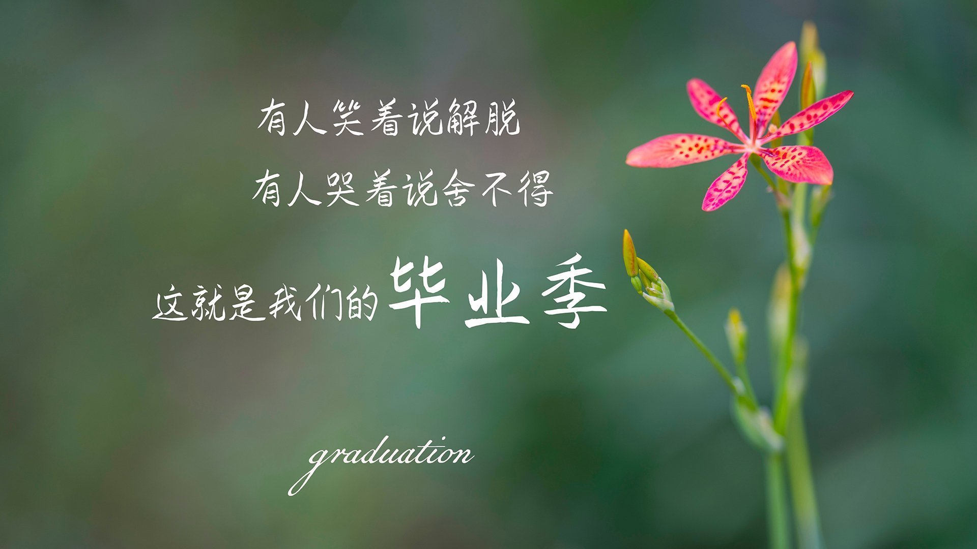 摩洛哥队中场球员进球助球队获胜，摩洛哥 球员