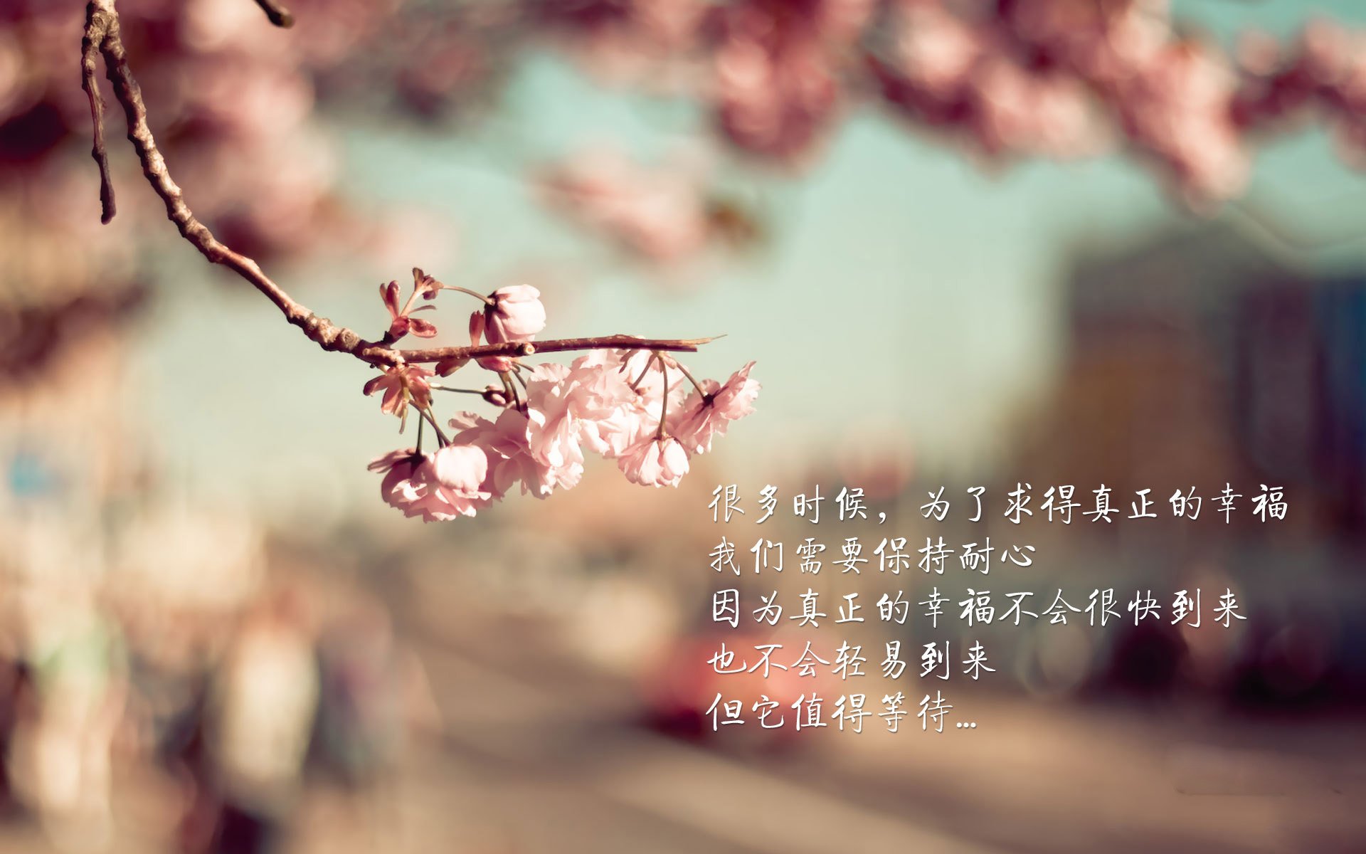 篮球专项技能动作精准度提升技术研究，篮球专项技能展示