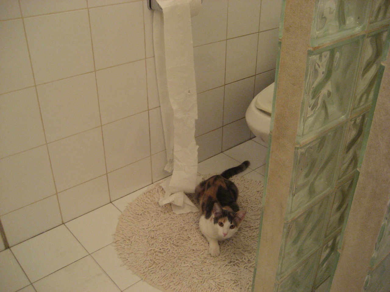 中国选手刷新亚洲撑杆跳高纪录，亚洲撑杆跳高冠军梁学仁