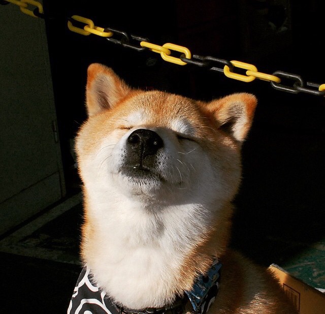 开云平台-亚洲杯中国女足惨败 球迷呼吁加强青训体系，女足亚洲杯中国队成绩