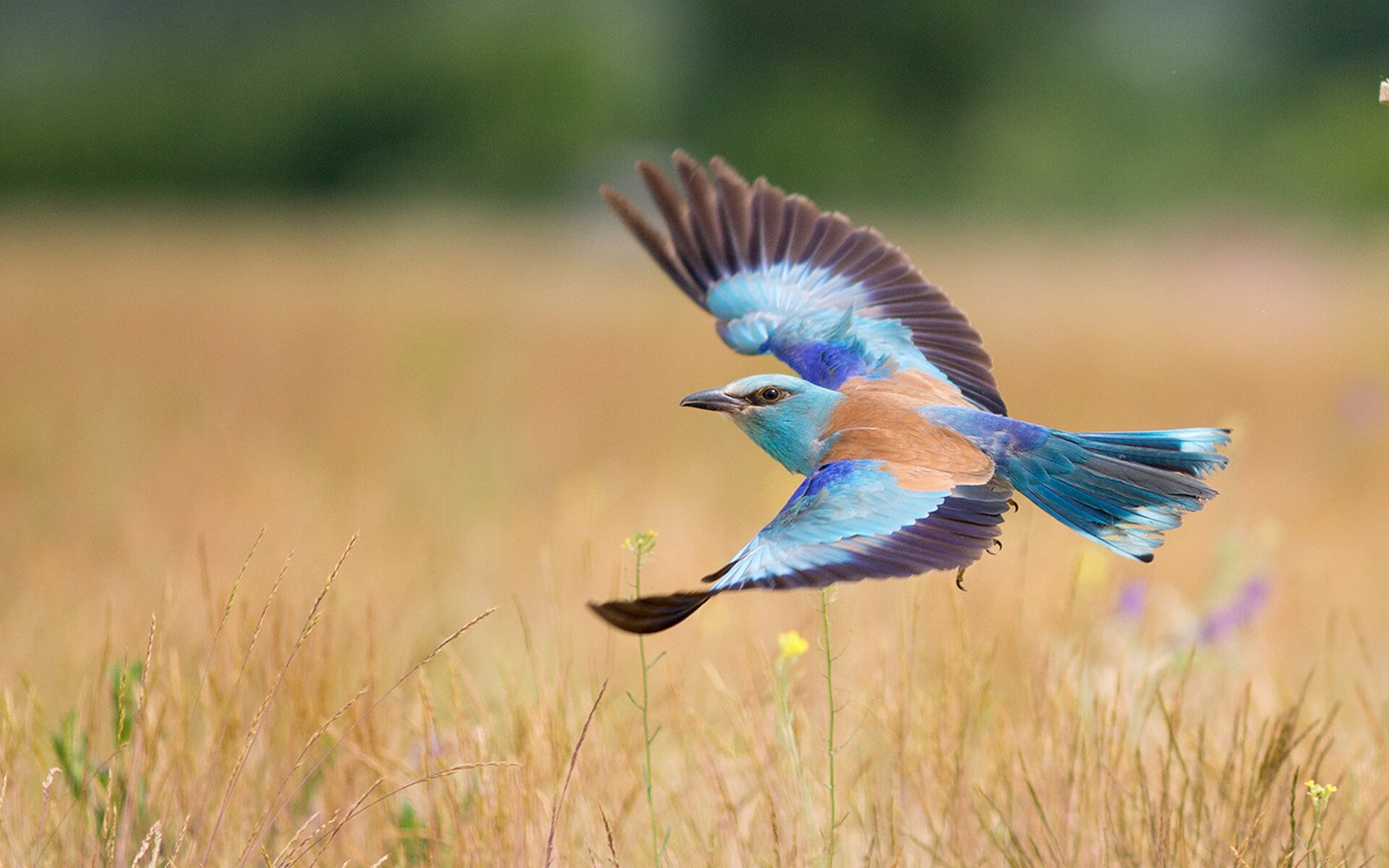 国际热身赛中国女足惨败 球迷呼吁提升训练质量,国足热身赛2021
