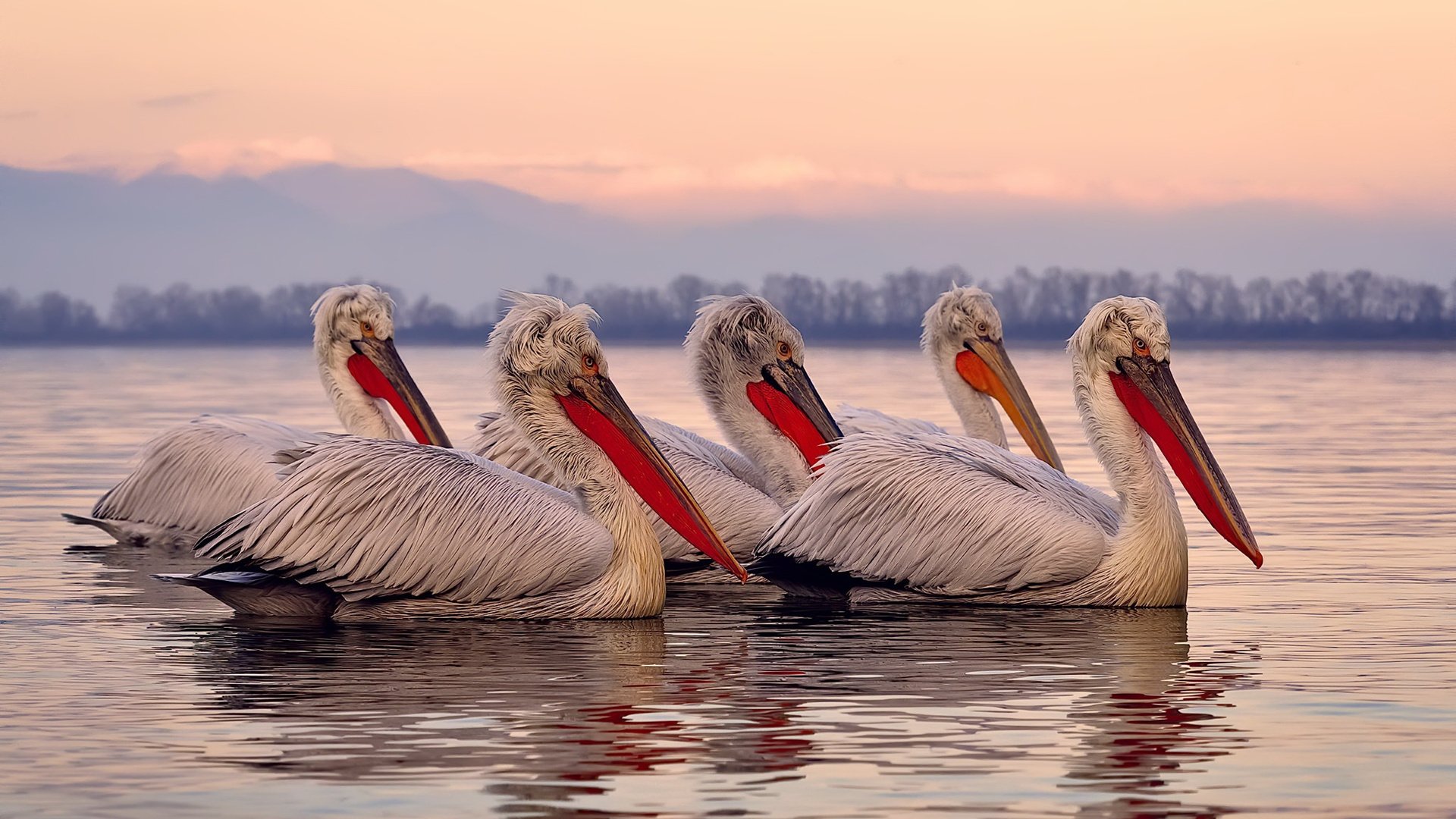 开云网页版-美因茨主打团队协作赢得比赛主导权，美因茨俱乐部官网