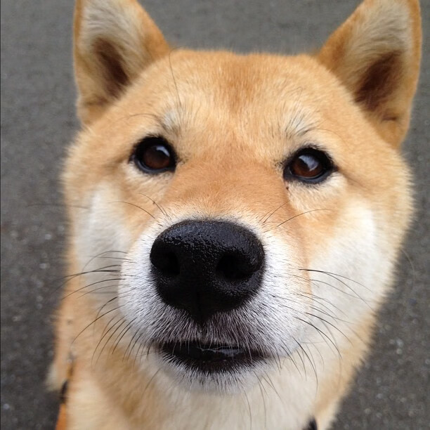 赫塔菲主打防反体系抢分成功,赫塔菲实力