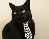 “埃尔斯·霍斯特成为南非橄榄球队的防守标杆”