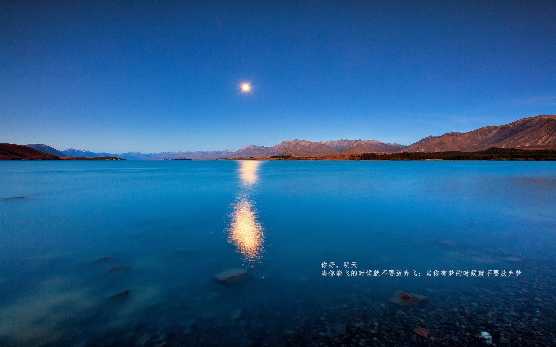 世界杯奇迹逆转:最后一分钟的绝杀奇观,世界杯大逆转
