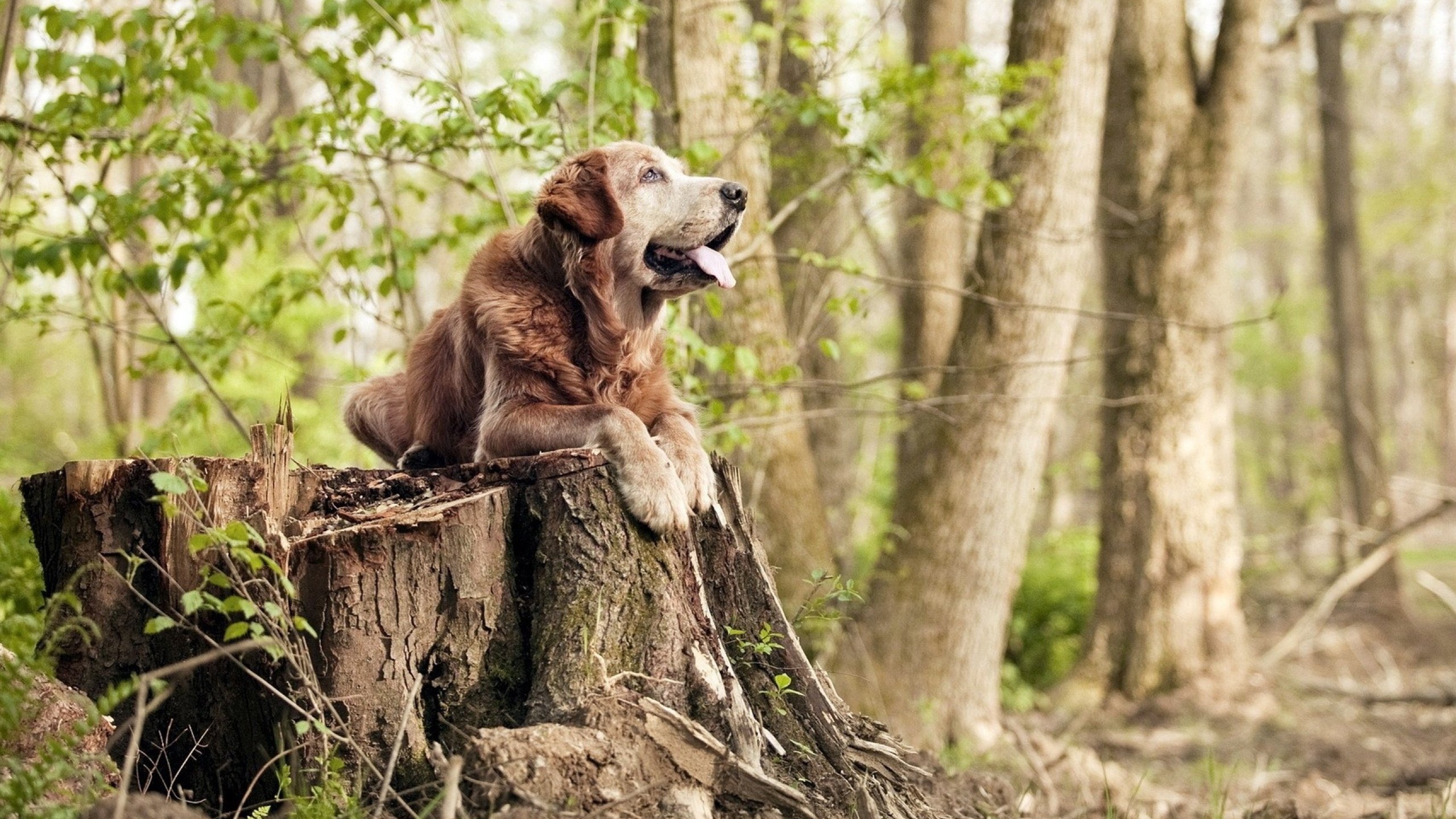 开云体育官方网入口-世界足球日主题活动各地火热展开，2020世界足球日主题