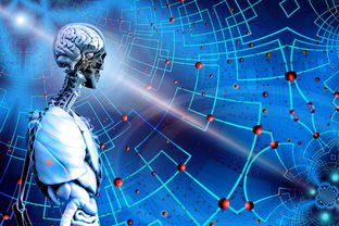 kaiyun登录入口-后备力量逐渐成型球队未来发展路径日益清晰，后备力量的定义