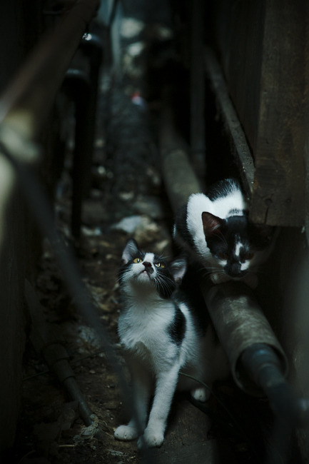 国际足球明星在世界杯舞台上的精彩表现引发全球热议,世界足球明星介绍