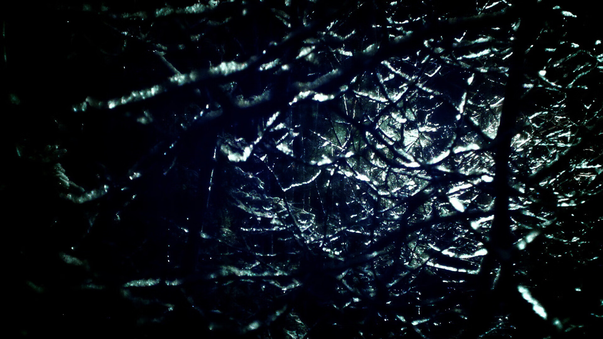 开云-女子威尔士队的竞技水平持续提升，前景可期，威尔士比赛视频