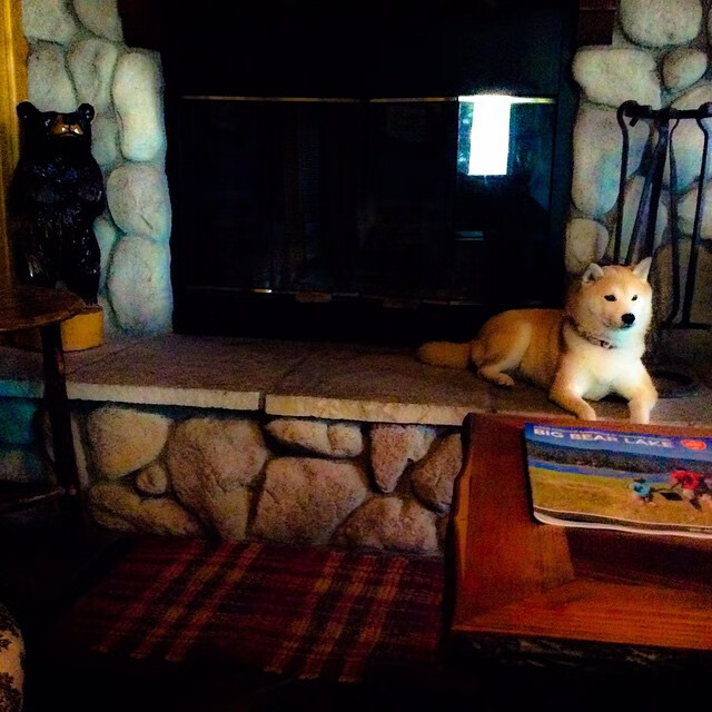 开云-新一轮校园足球政策扶持力度加大提高参与覆盖面，国家出台关于校园足球的政策