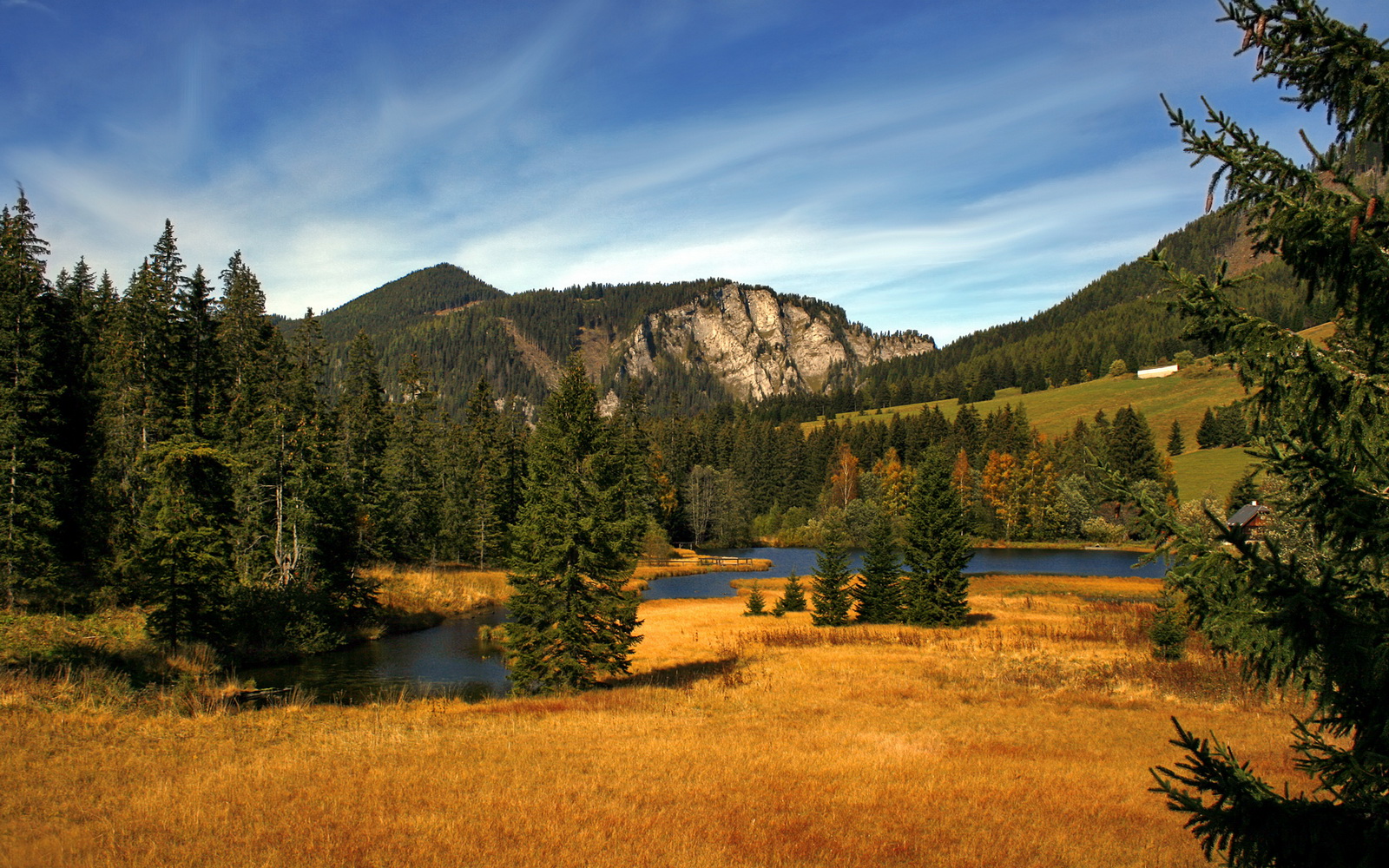 科里·简:用爆发力与迅捷的跑动冲破防线,展示无与伦比的边锋技艺