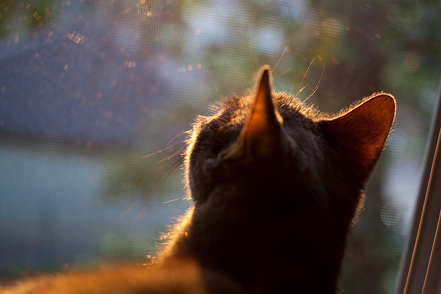 开云官方-皇马青训培养新星，未来阵容充满希望