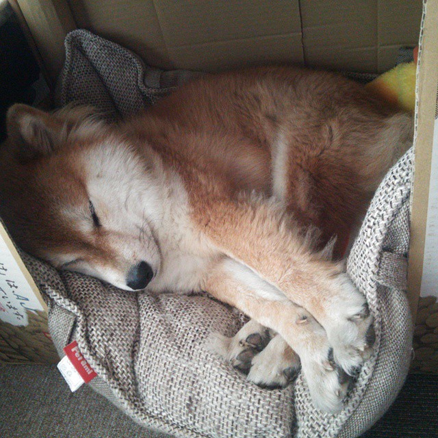 KAIYUN 中国大陆-英格兰男队迎来新一代球星，英格兰队员2021